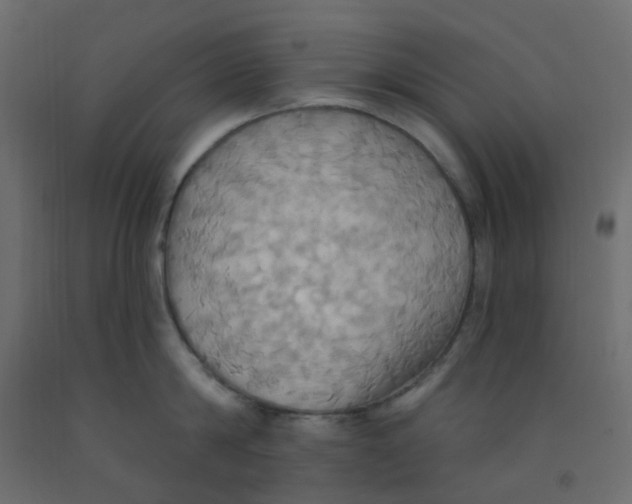 X0000092110814200710101142