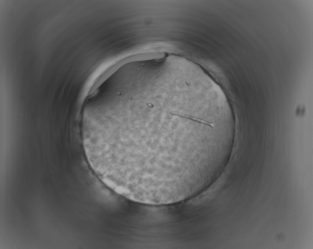 X0000092110816200710101142