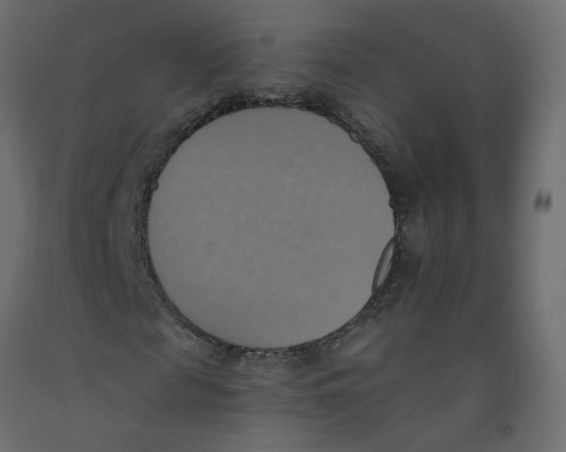 X0000092110817200710101141