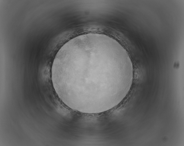 X0000092110820200710101141
