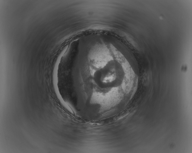 X0000092110821200710101141