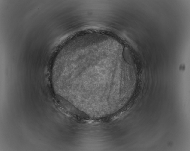 X0000092110822200710101141