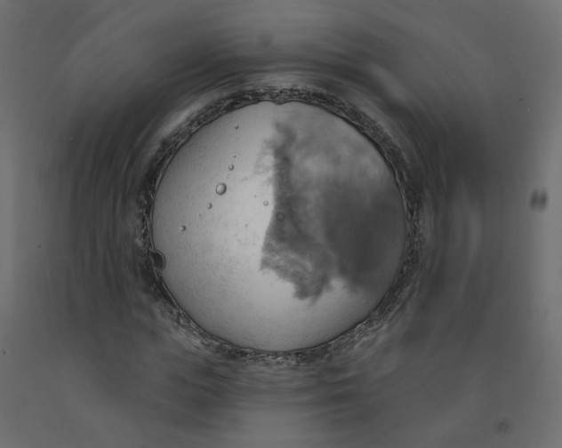X0000092110823200710101141