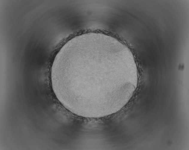 X0000092110824200710101141