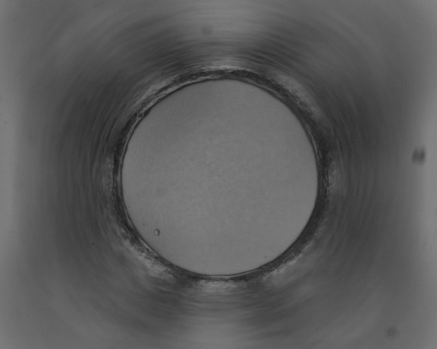 X0000092110825200710101141