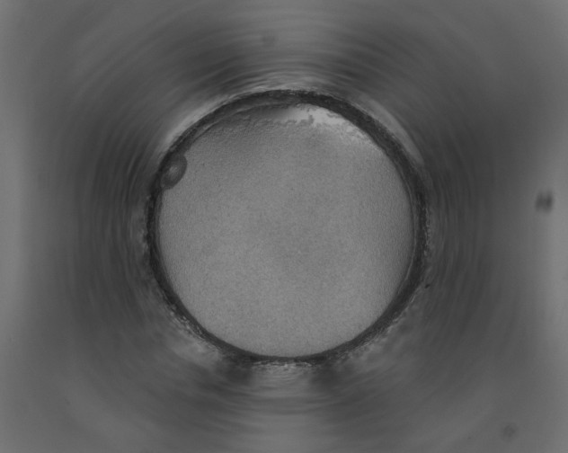 X0000092110826200710101141