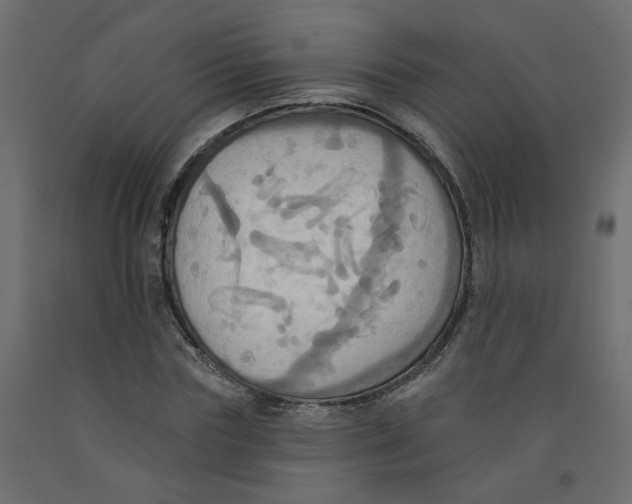 X0000092110827200710101141
