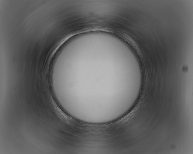X0000092110828200710101141