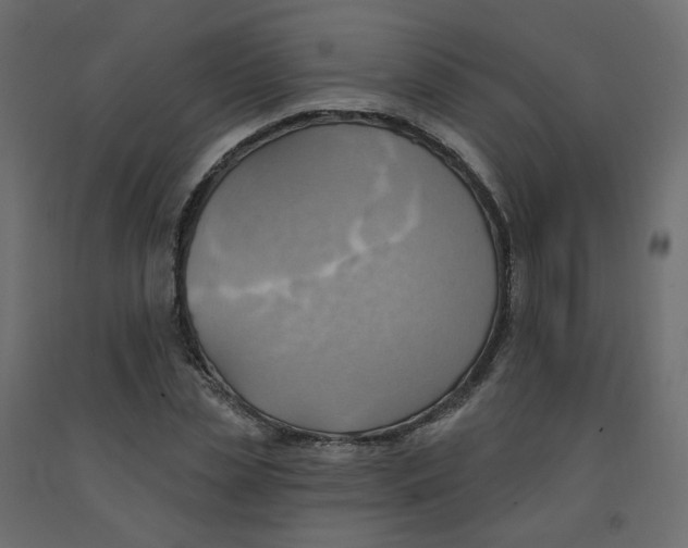 X0000092110829200710101141