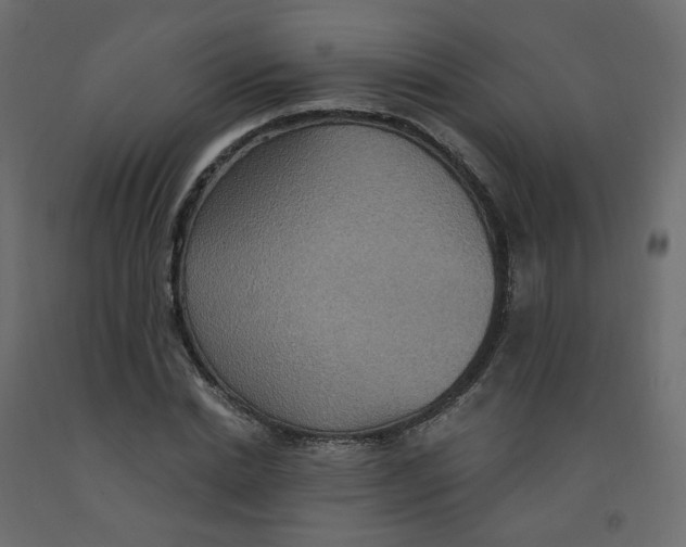 X0000092110830200710101141