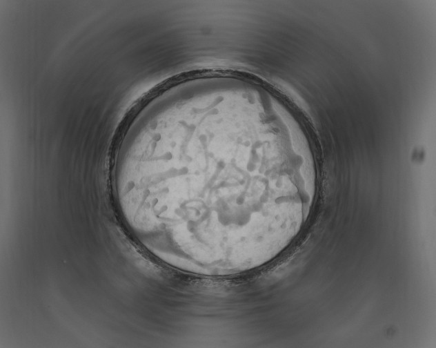 X0000092110831200710101141