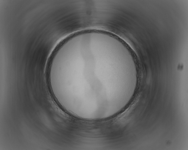 X0000092110832200710101141