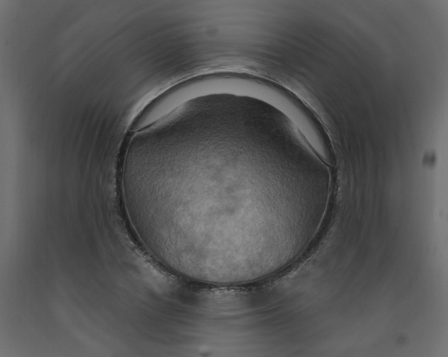 X0000092110834200710101141