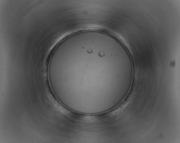 X0000092110835200710101141