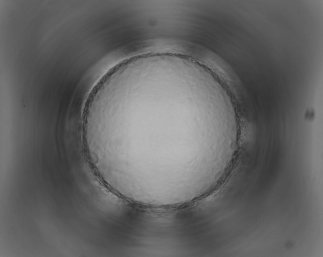 X0000092110836200710101141