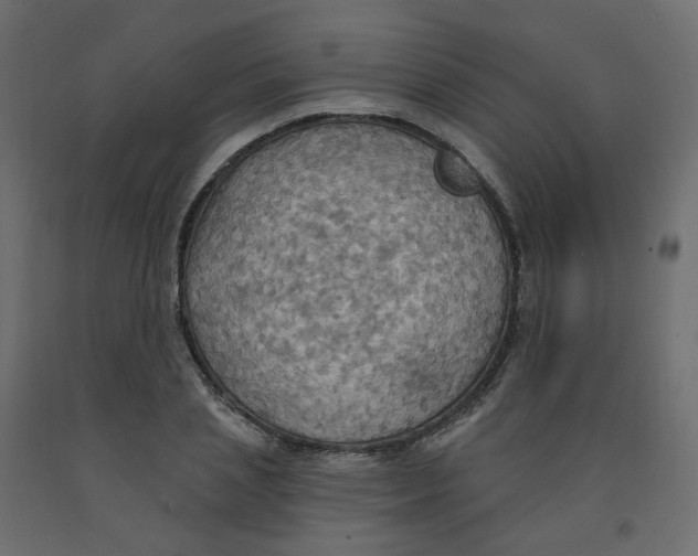 X0000092110837200710101141