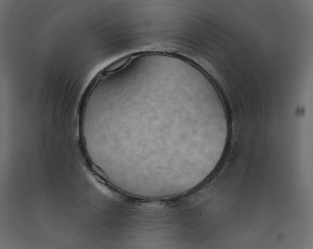 X0000092110838200710101141