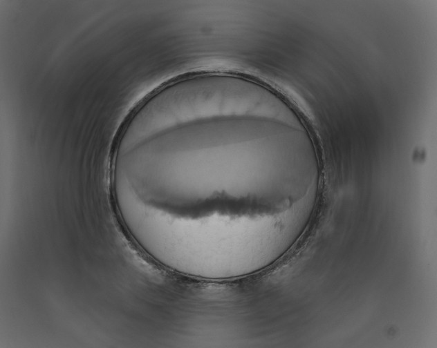 X0000092110839200710101141