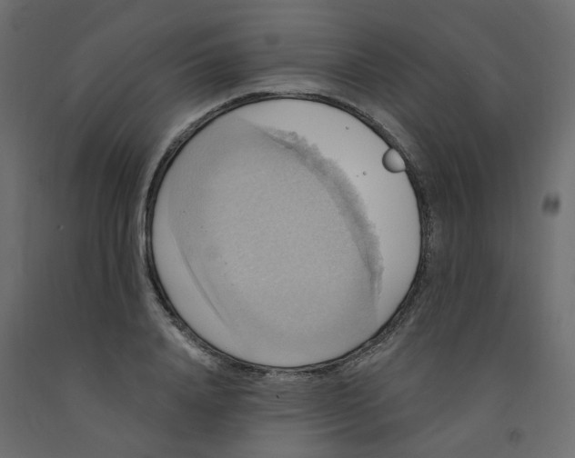 X0000092110840200710101141