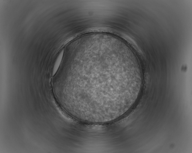X0000092110841200710101141