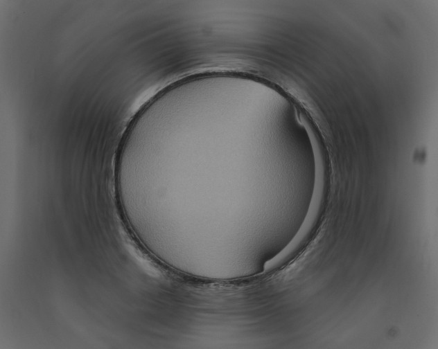 X0000092110842200710101141