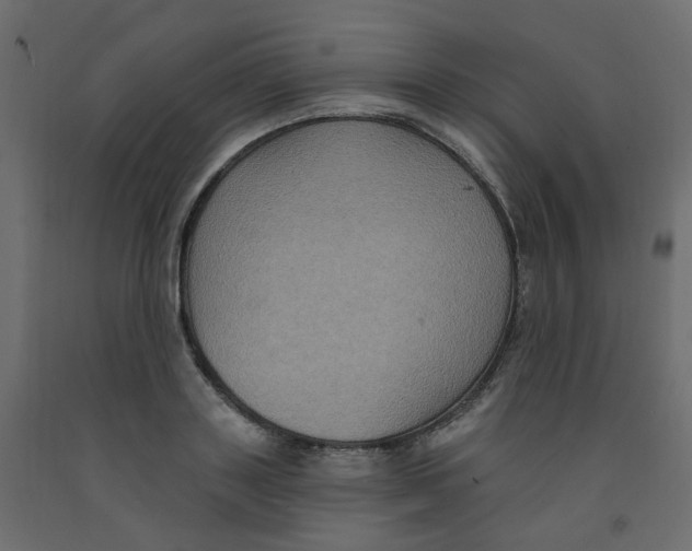 X0000092110843200710101141