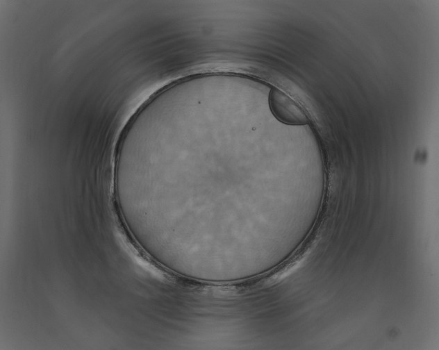 X0000092110844200710101141