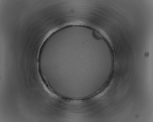 X0000092110845200710101141