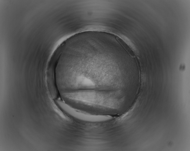X0000092110846200710101142