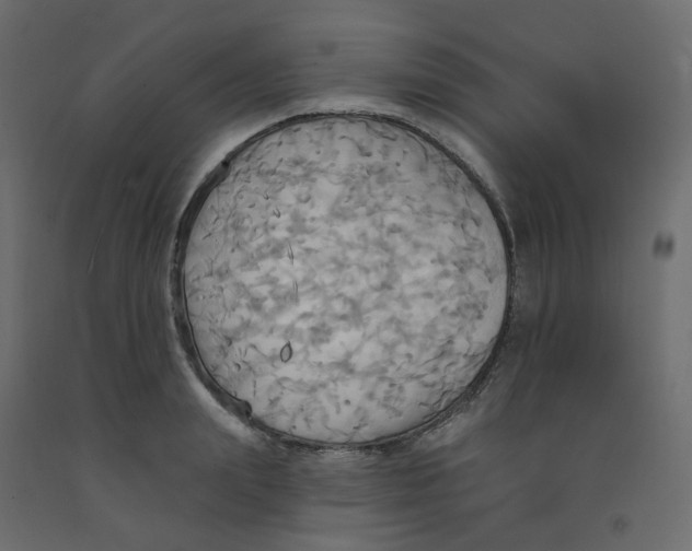 X0000092110847200710101142