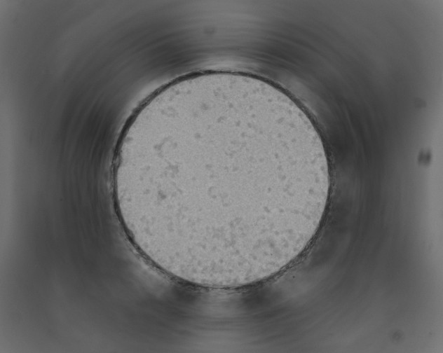 X0000092110848200710101142