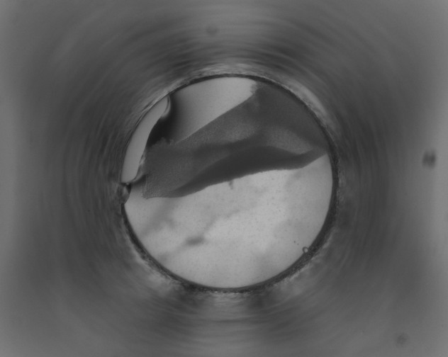 X0000092110849200710101142