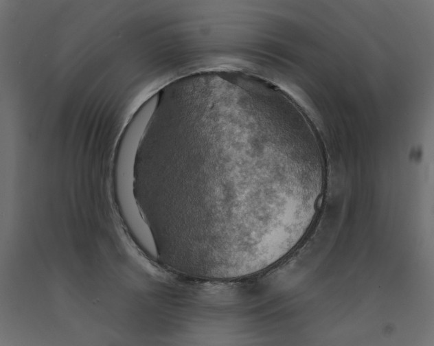 X0000092110850200710101142