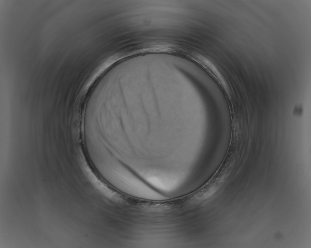 X0000092110851200710101142