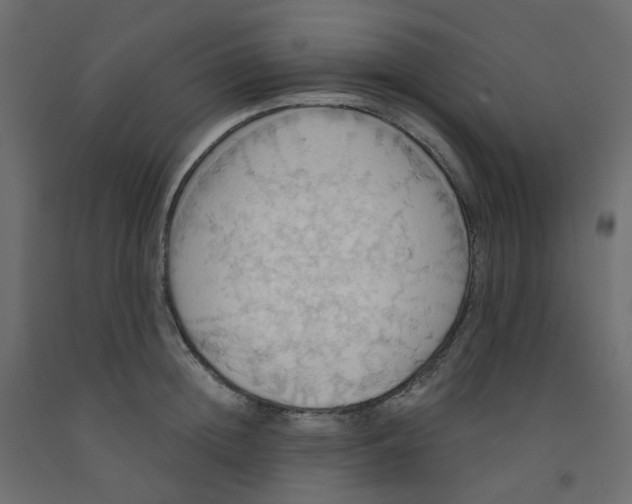 X0000092110852200710101142