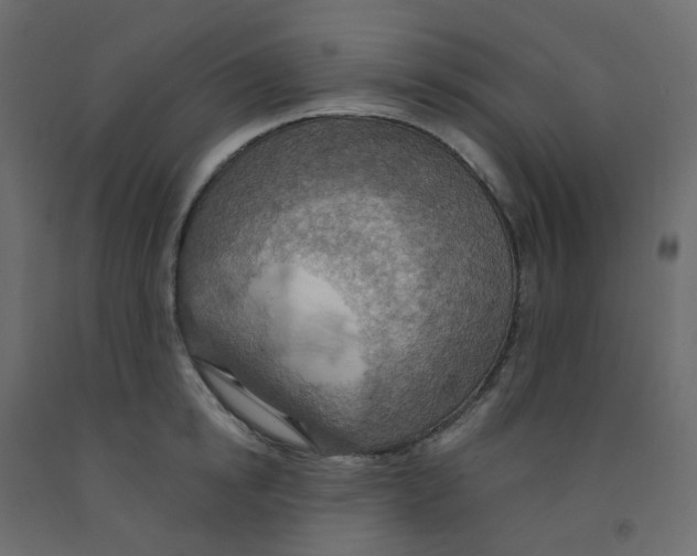 X0000092110854200710101142