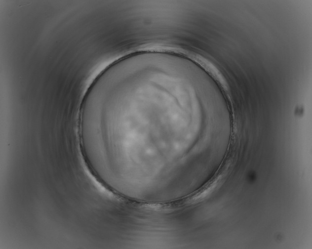 X0000092110855200710101142