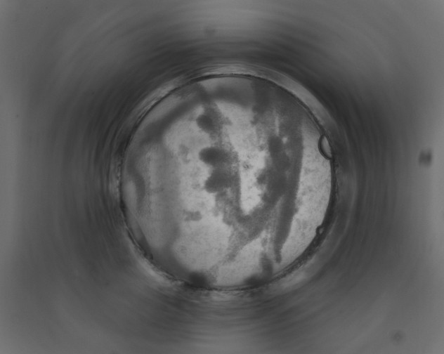 X0000092110857200710101142
