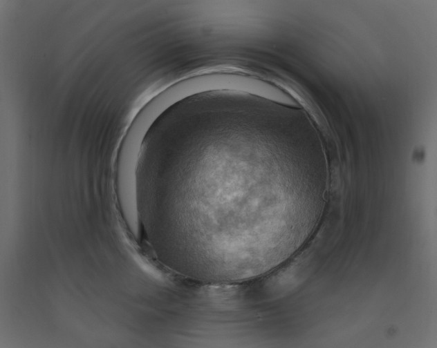X0000092110858200710101142