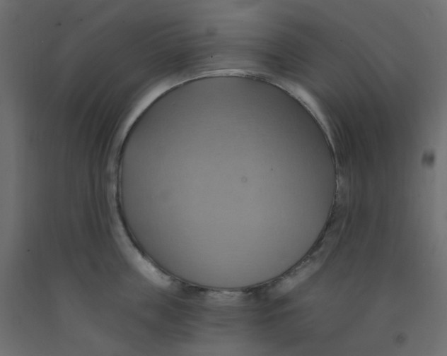 X0000092110859200710101142