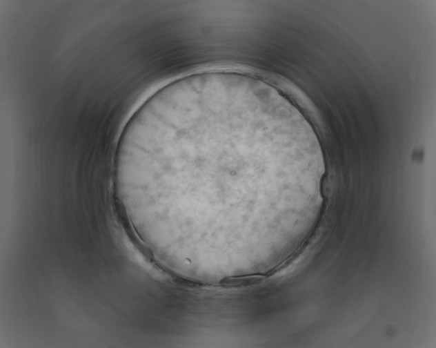 X0000092110860200710101142