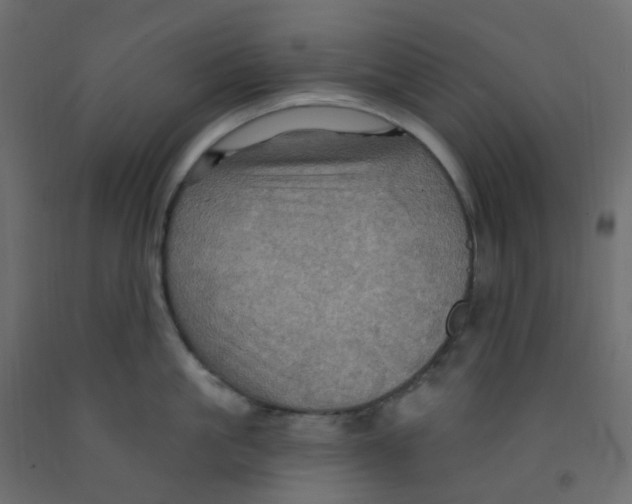 X0000092110861200710101142