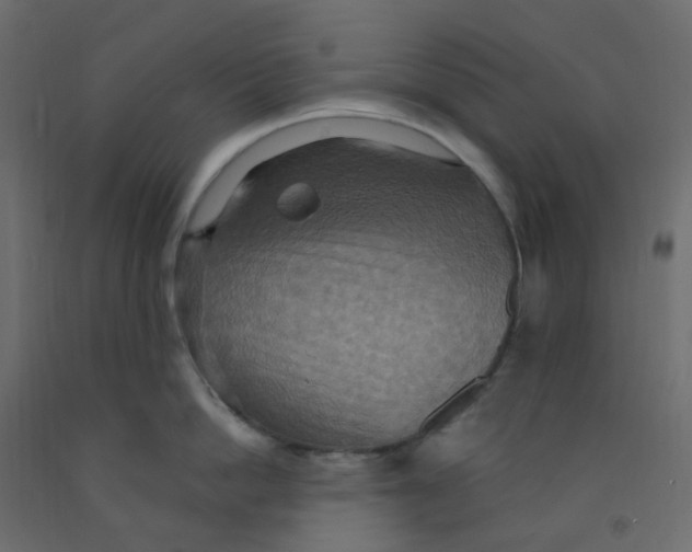 X0000092110862200710101142