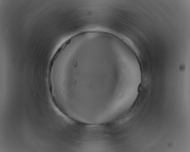 X0000092110863200710101142