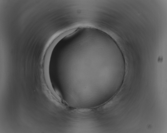 X0000092110864200710101142