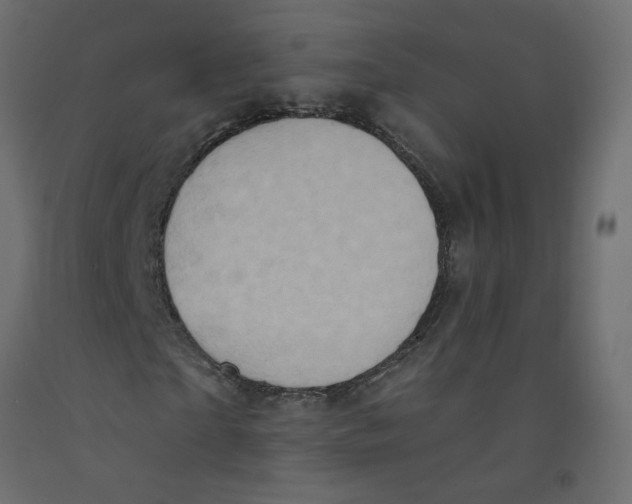 X0000092110865200710101141