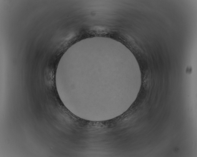 X0000092110866200710101141