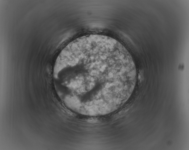 X0000092110867200710101141