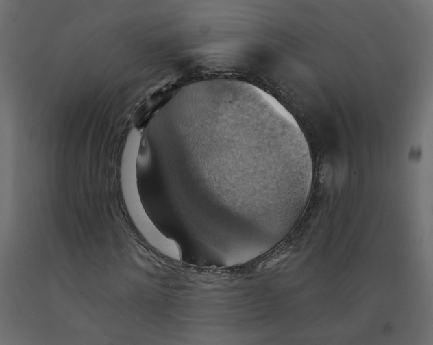X0000092110868200710101141
