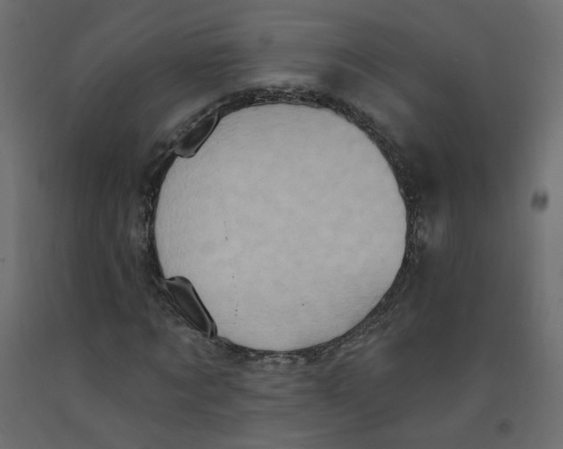 X0000092110869200710101141
